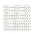 Basics Canvas White Porcelain Mosaic