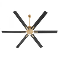 Fans-Quorum-10806