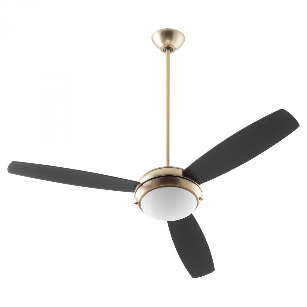 Fans-Quorum-20523