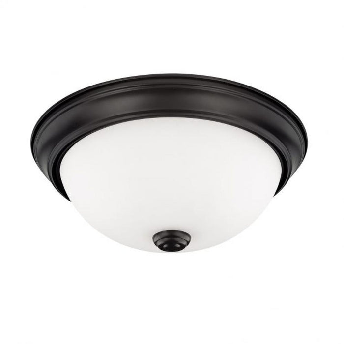 Flush Mounts-Capital-214721MB