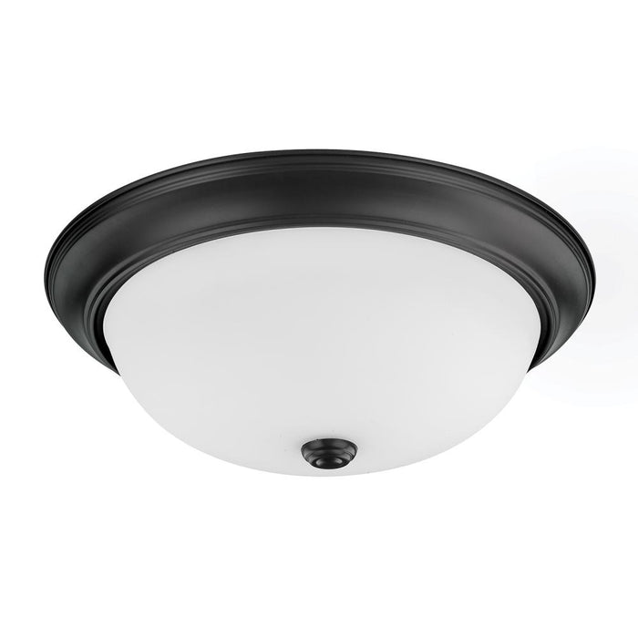 Flush Mounts-Capital-214731MB