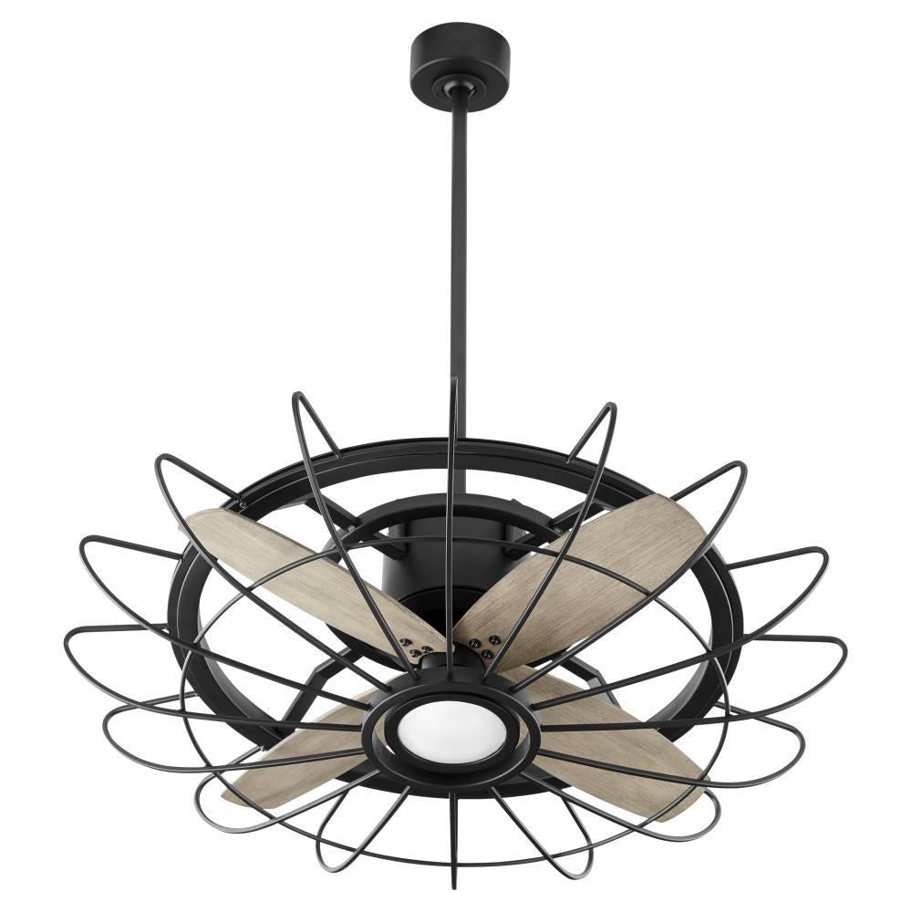 Fans-Quorum-32304-69