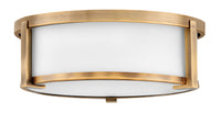 Flush Mounts-Hinkley-HL3241