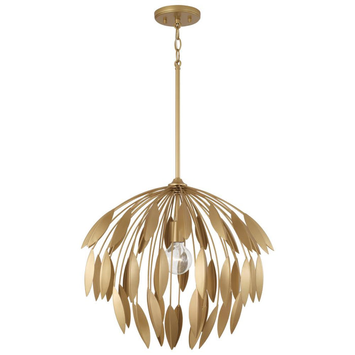 Pendants-Capital-351812