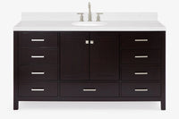 Ariel Cambridge (66" & 67") in single oval sink vanity with marble countertop (0.75" & 1.5").
