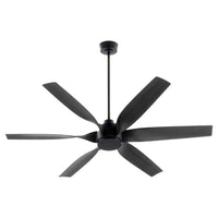 Fans-Quorum-55606