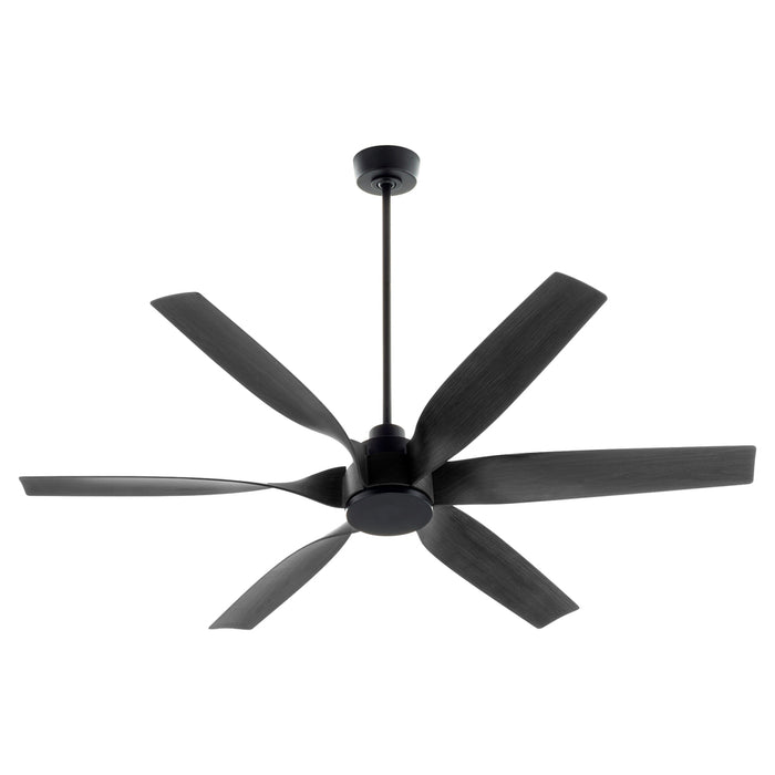 Fans-Quorum-55606