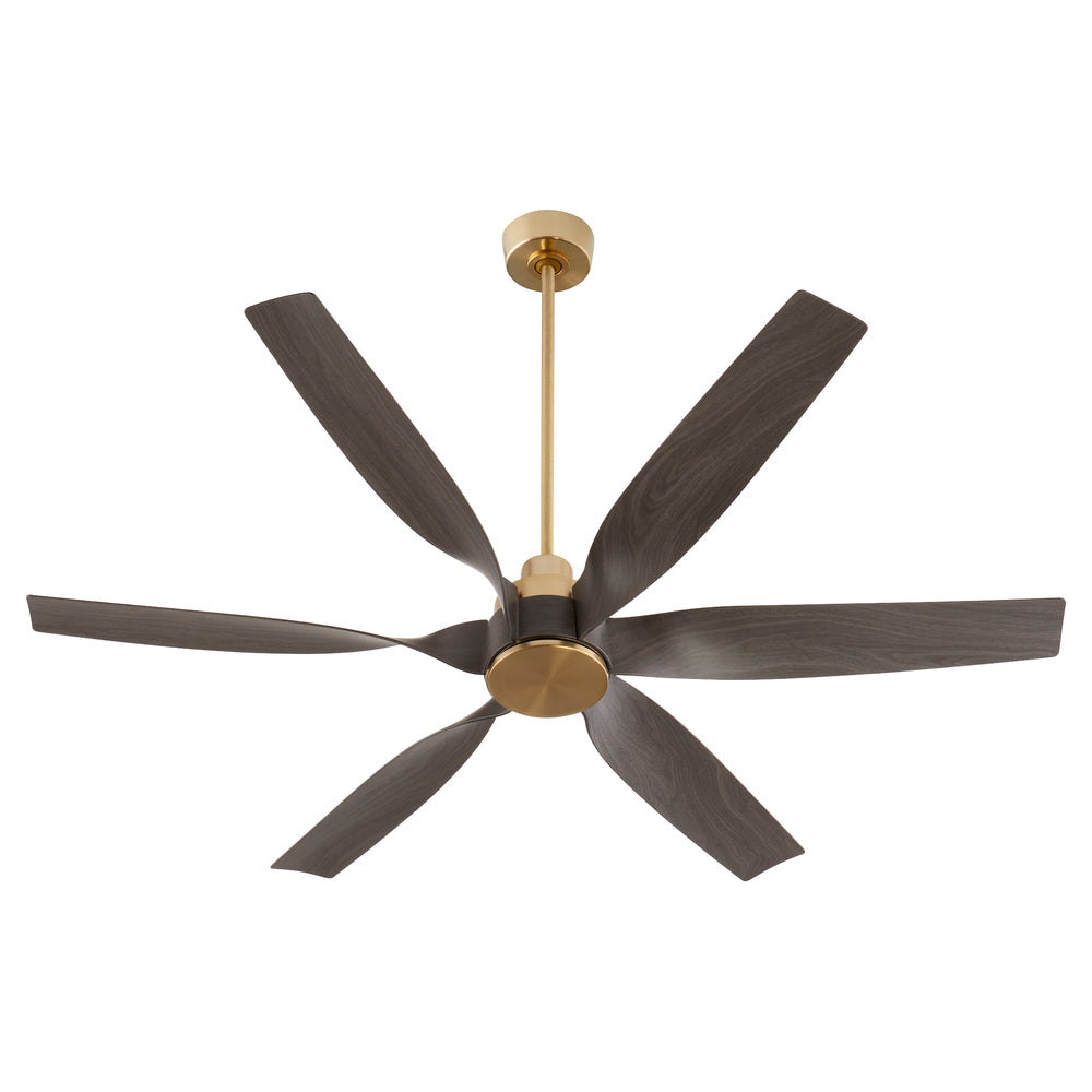 Fans-Quorum-55606