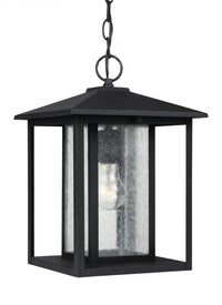 Pendants-Generation Lighting-62027