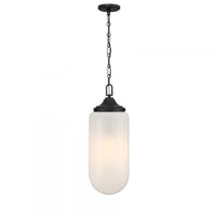 Pendants-Savoy House-7-6025-3