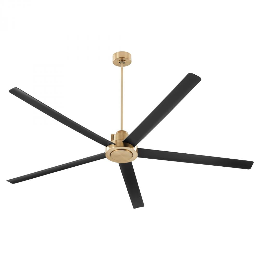 Fans-Quorum-80805