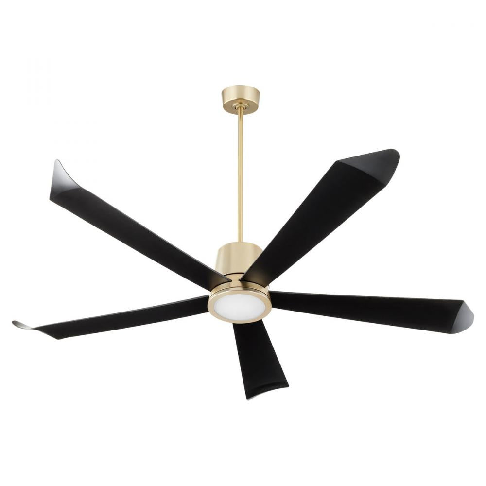 Fans-Quorum-82725