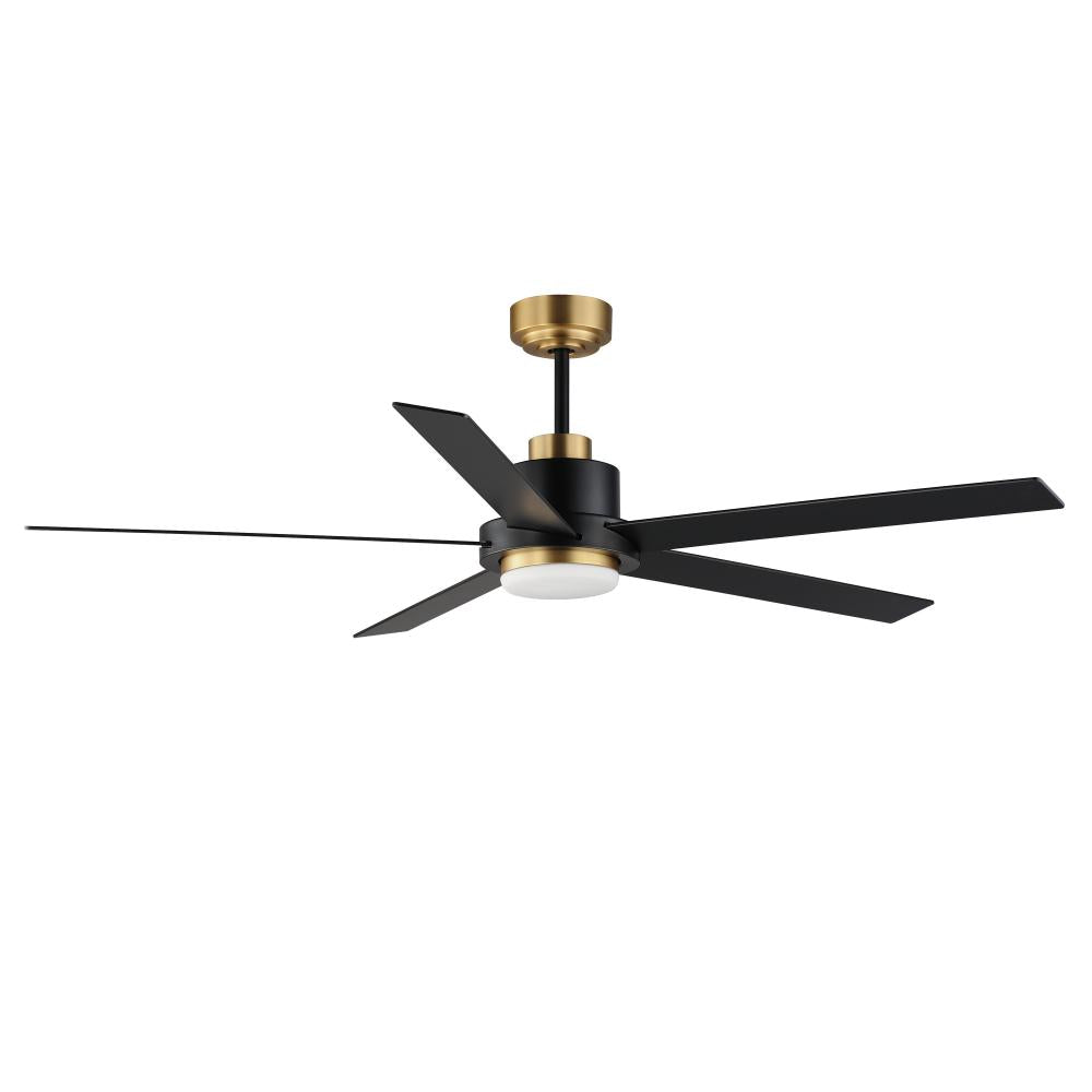 Fans-Maxim-88826