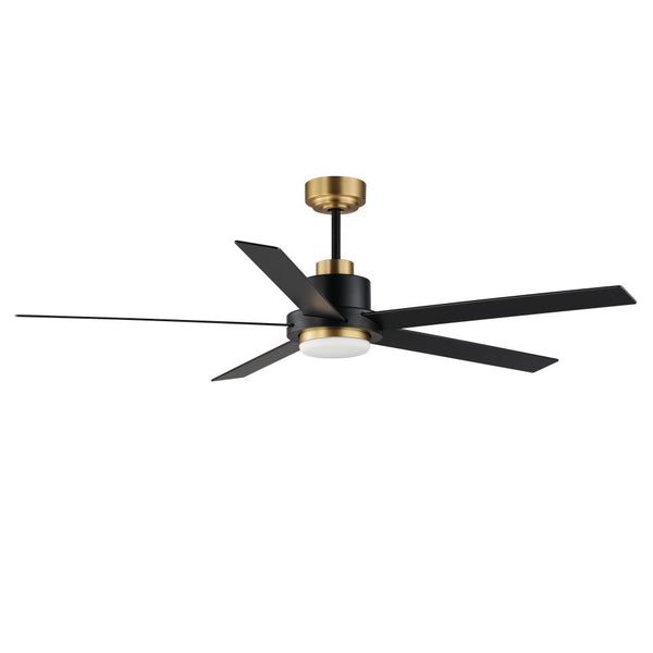 Fans-Maxim-88826