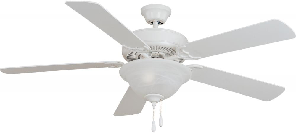 Fans-Maxim-89905