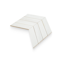 Bianco Dolomite Calida Natural Stone Mosaic