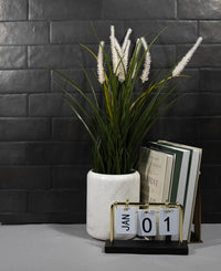 Color | Black