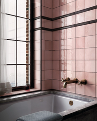 Color | Pink