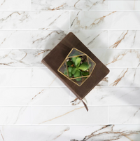 Color | Calacatta Gold