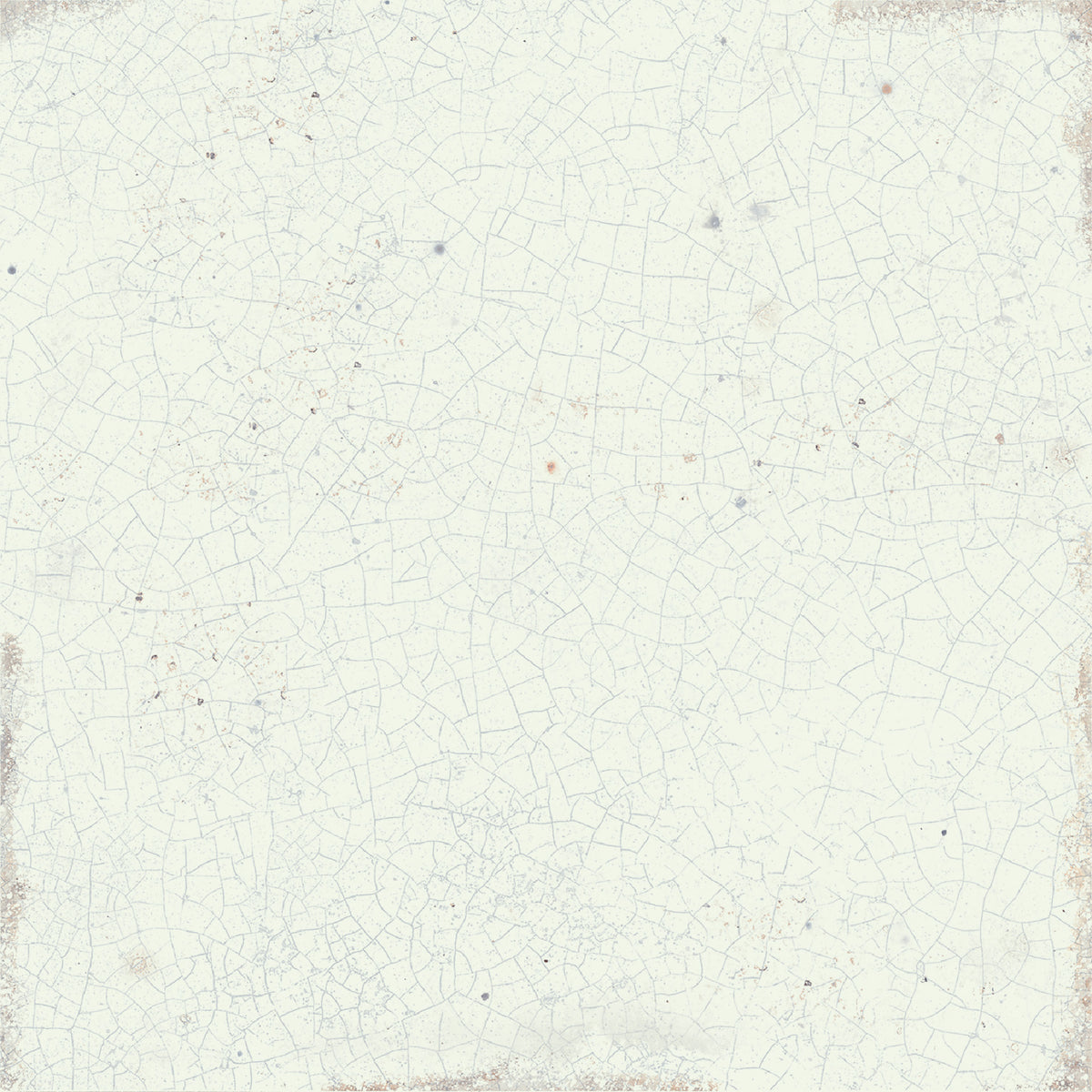 Color | Plain