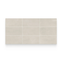 Color | Precious Ivory