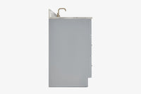 Ariel hamlet (43") single rectangle sink vanity with  (0.75"& 1.5") countertop.