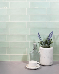 Color | Mint