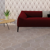 Color | Gris Solid