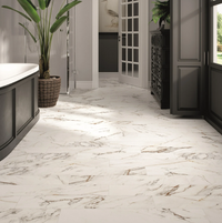 Color | Calacatta Gold