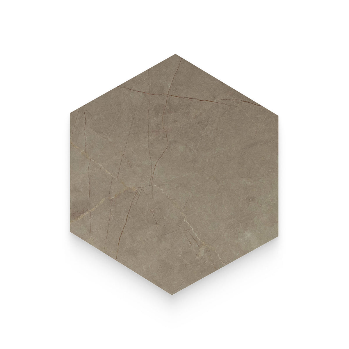 Color | Pulpis Taupe