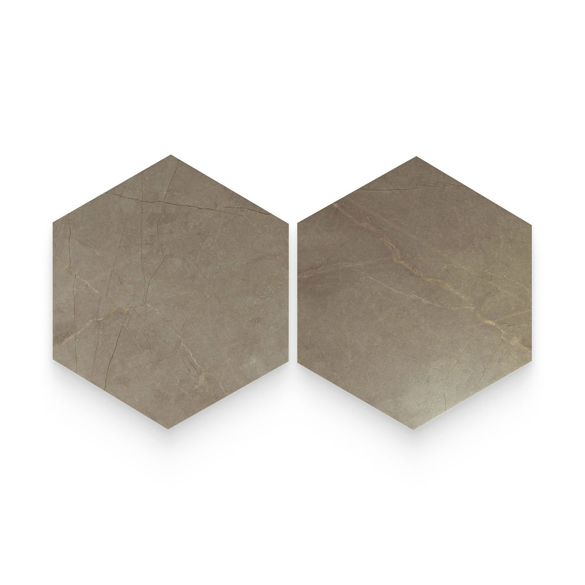 Color | Pulpis Taupe