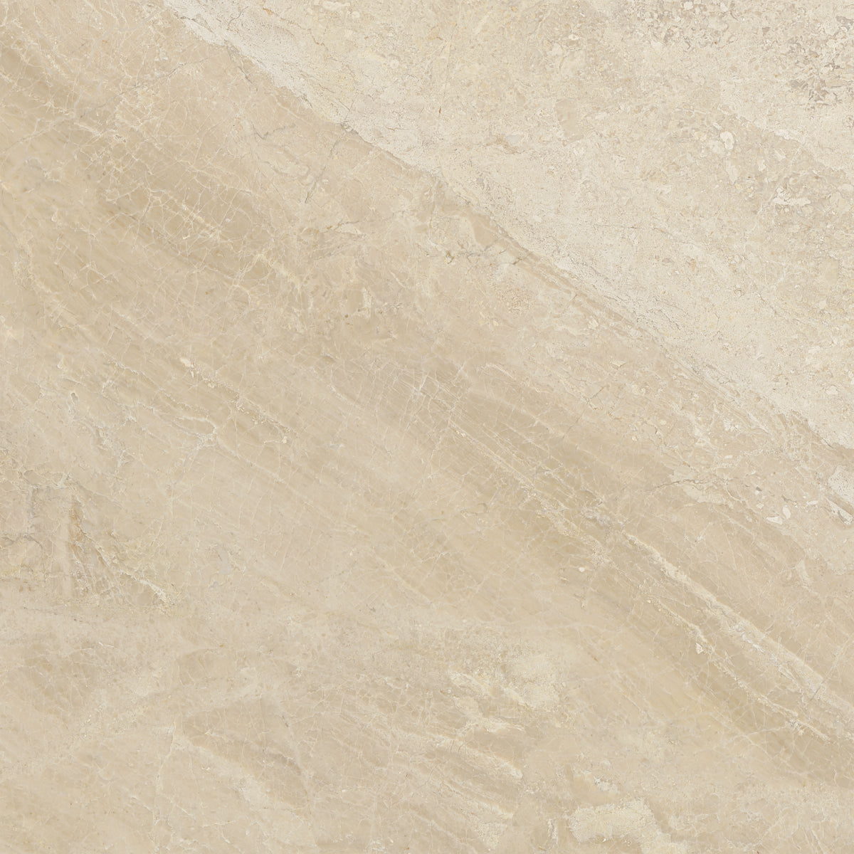 Color | Imperial Beige