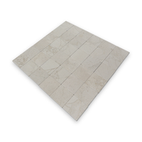 Avant Garde Porto Beige Limestone Tile