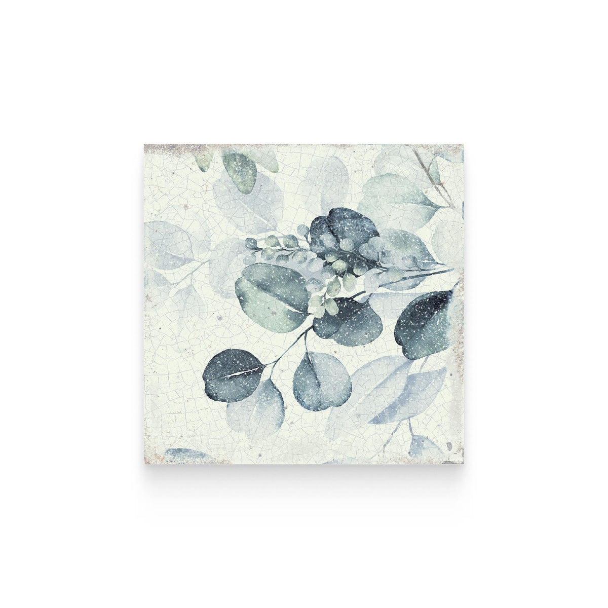Maiolica Woods Porcelain Tile