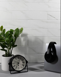 Color | Statuary White