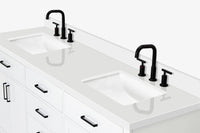 Ariel hepburn 73 in. double rectangle sink vanity with white quartz countertop in white