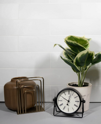 Color | White Plume