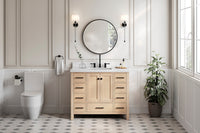Ariel cambridge 42-43 in. single rectangle sink vanity with( 0.75, 1.5 ,2) in countertop