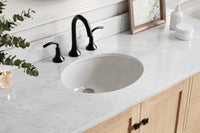 Ariel Cambridge (66" & 67") in single oval sink vanity with marble countertop (0.75" & 1.5").