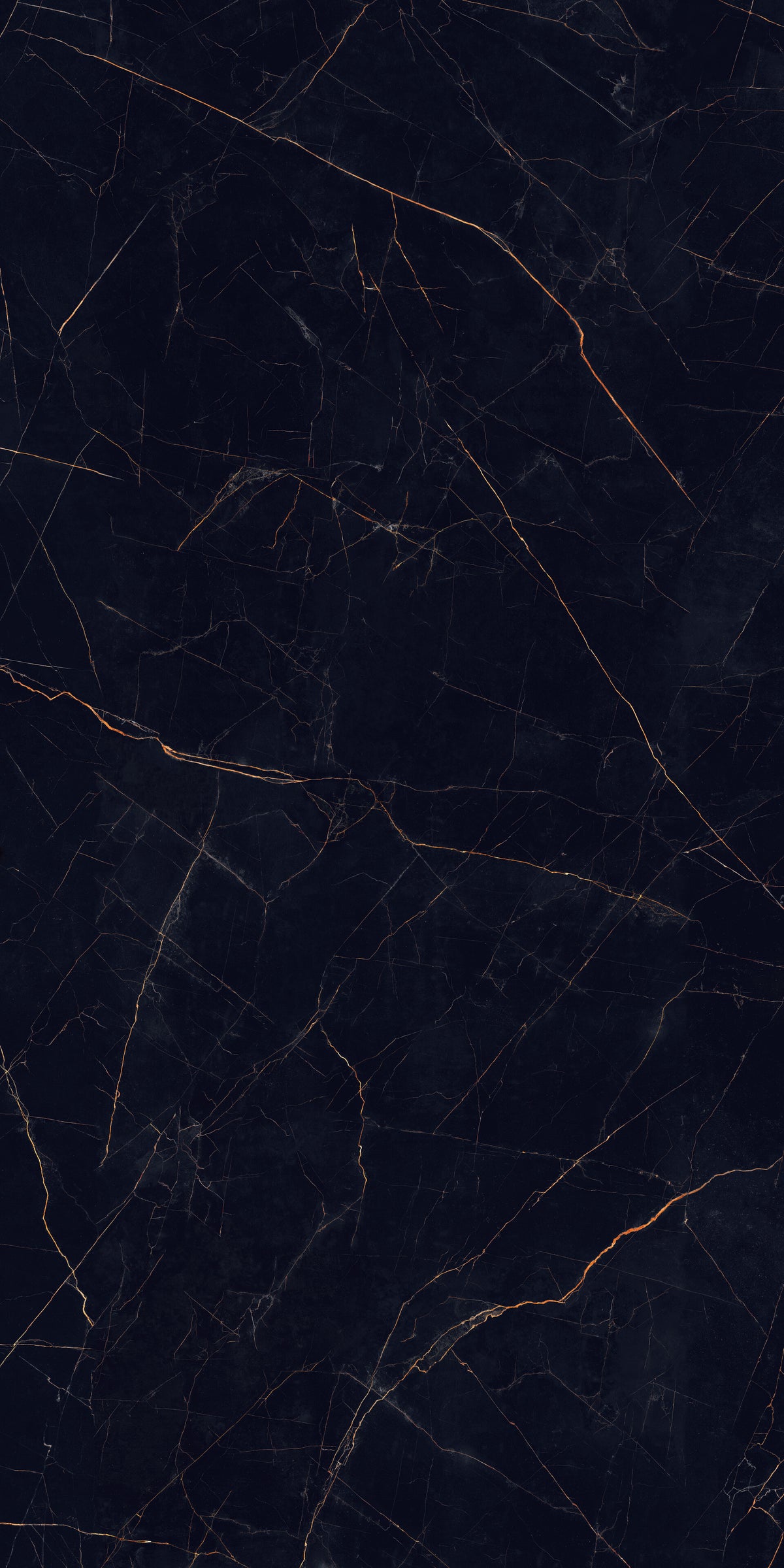 Nero Ardi Negro Porcelain Slab