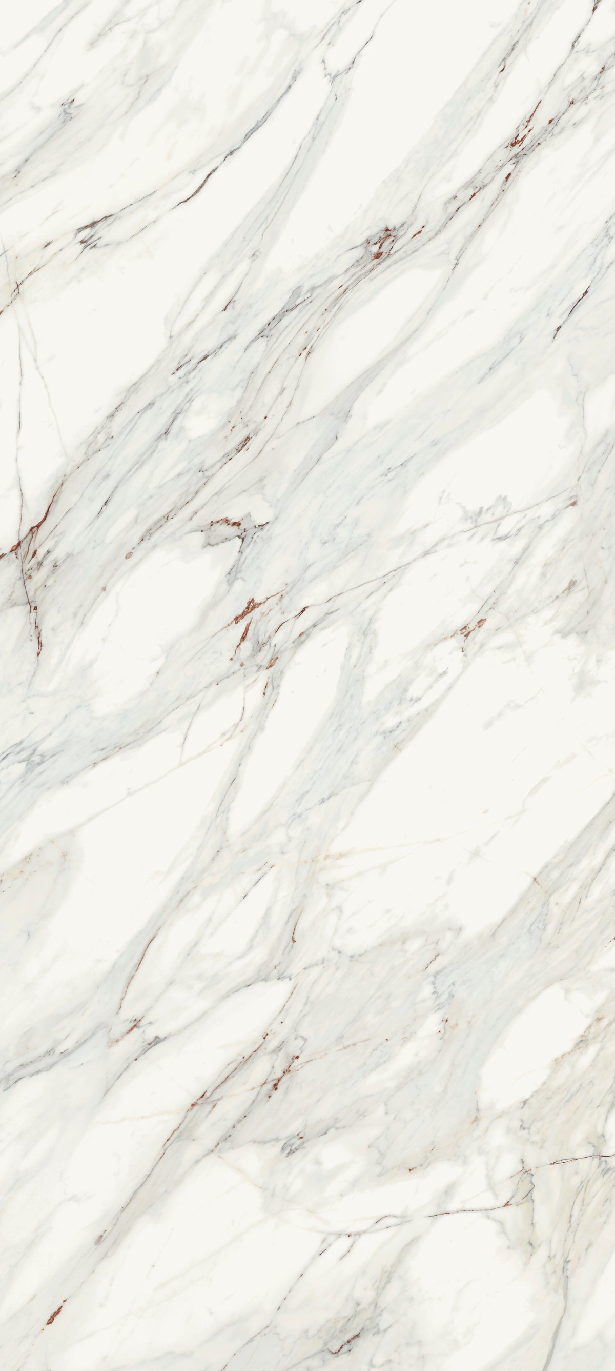 Corinto Blanco Porcelain Slab