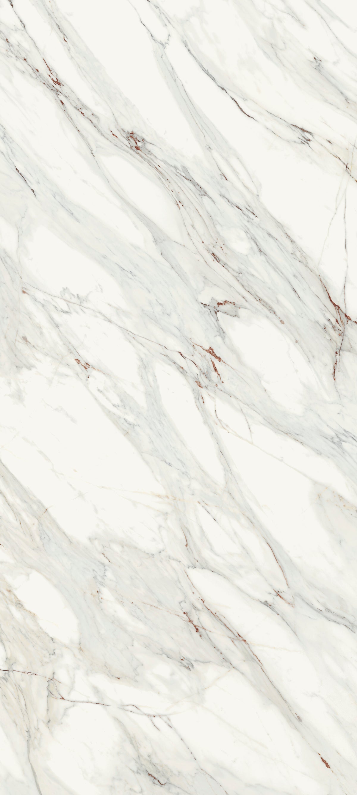 Corinto Blanco Porcelain Slab