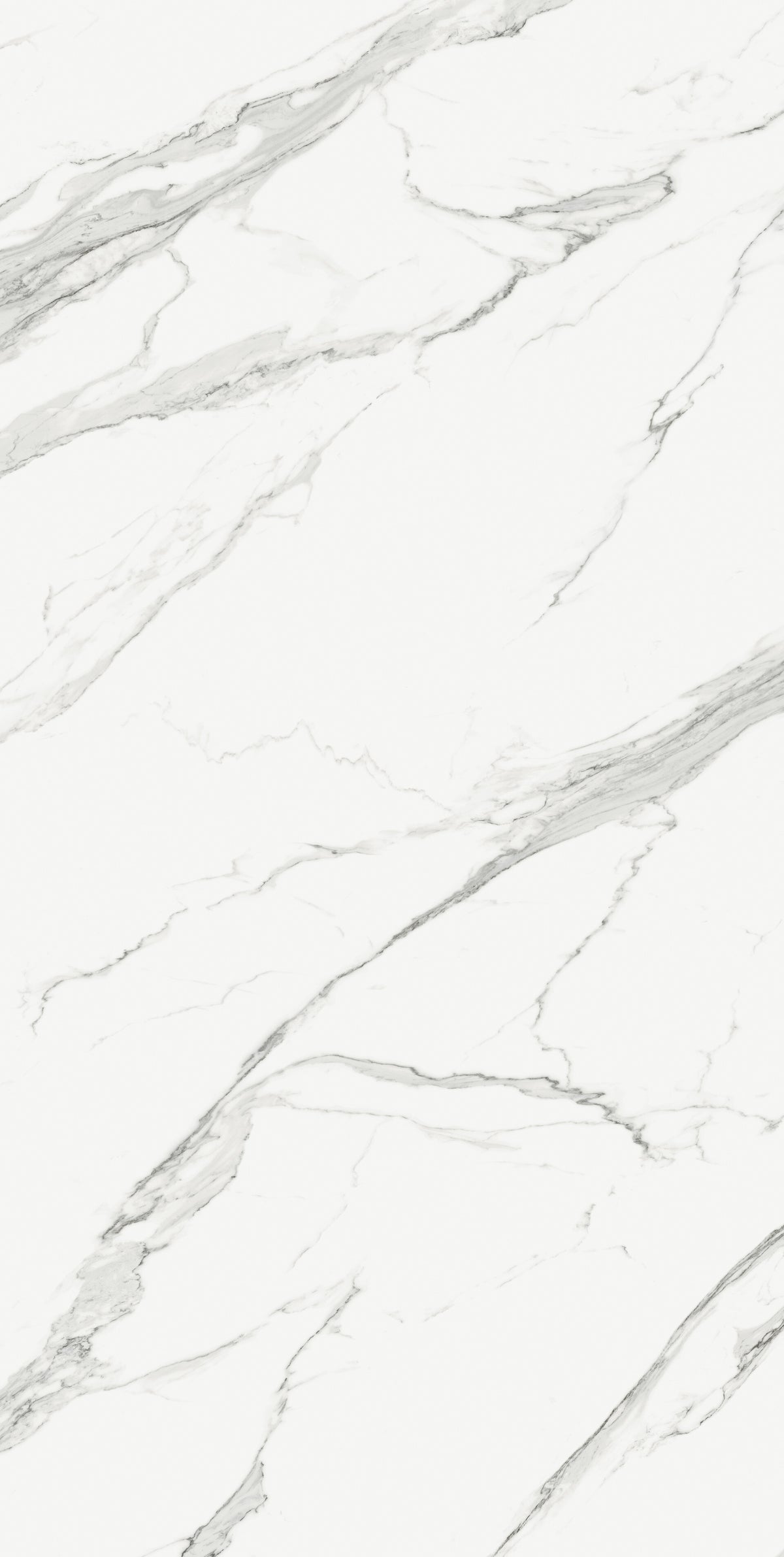 Estatuario Extra Blanco Porcelain Slab