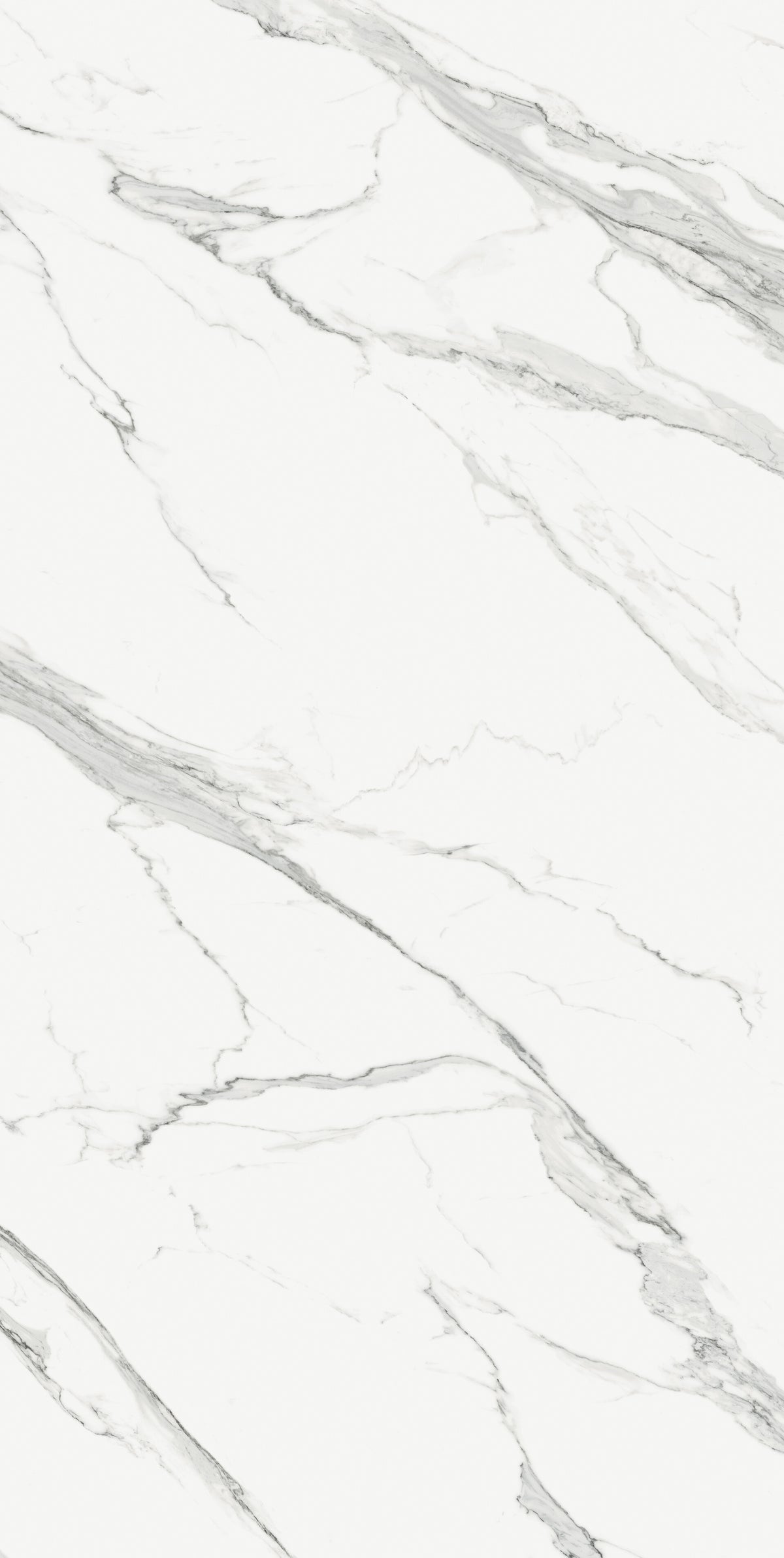 Estatuario Extra Blanco Porcelain Slab