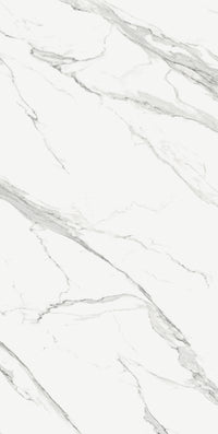 Estatuario Extra Blanco Porcelain Slab