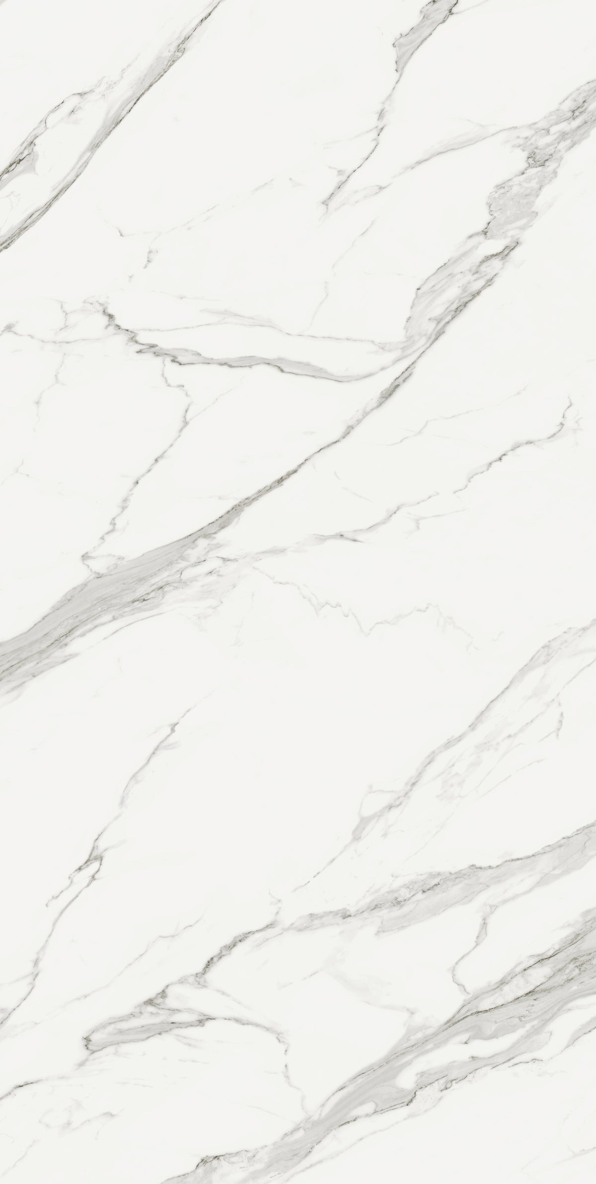 Estatuario Extra Blanco Porcelain Slab