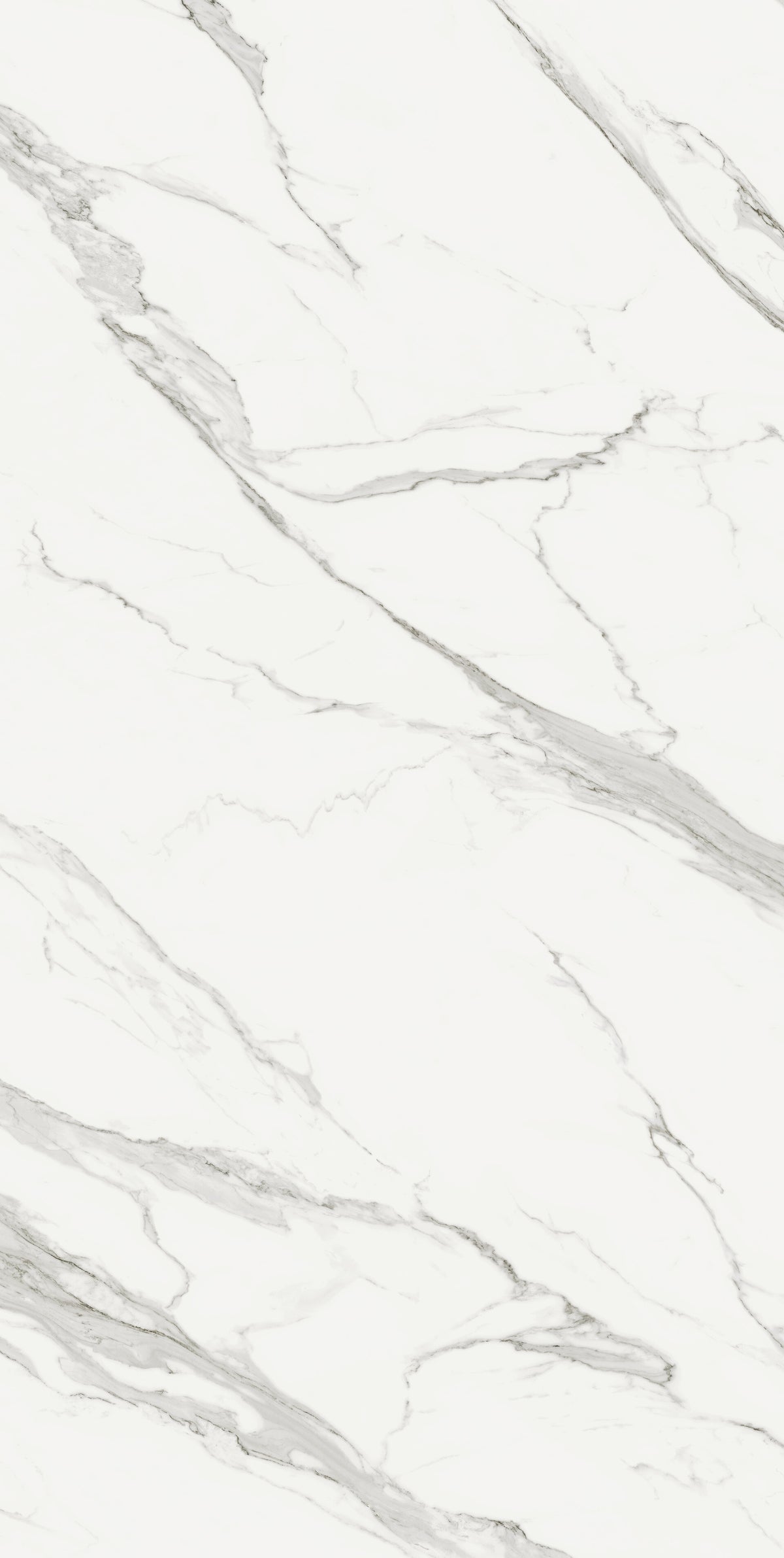 Estatuario Extra Blanco Porcelain Slab