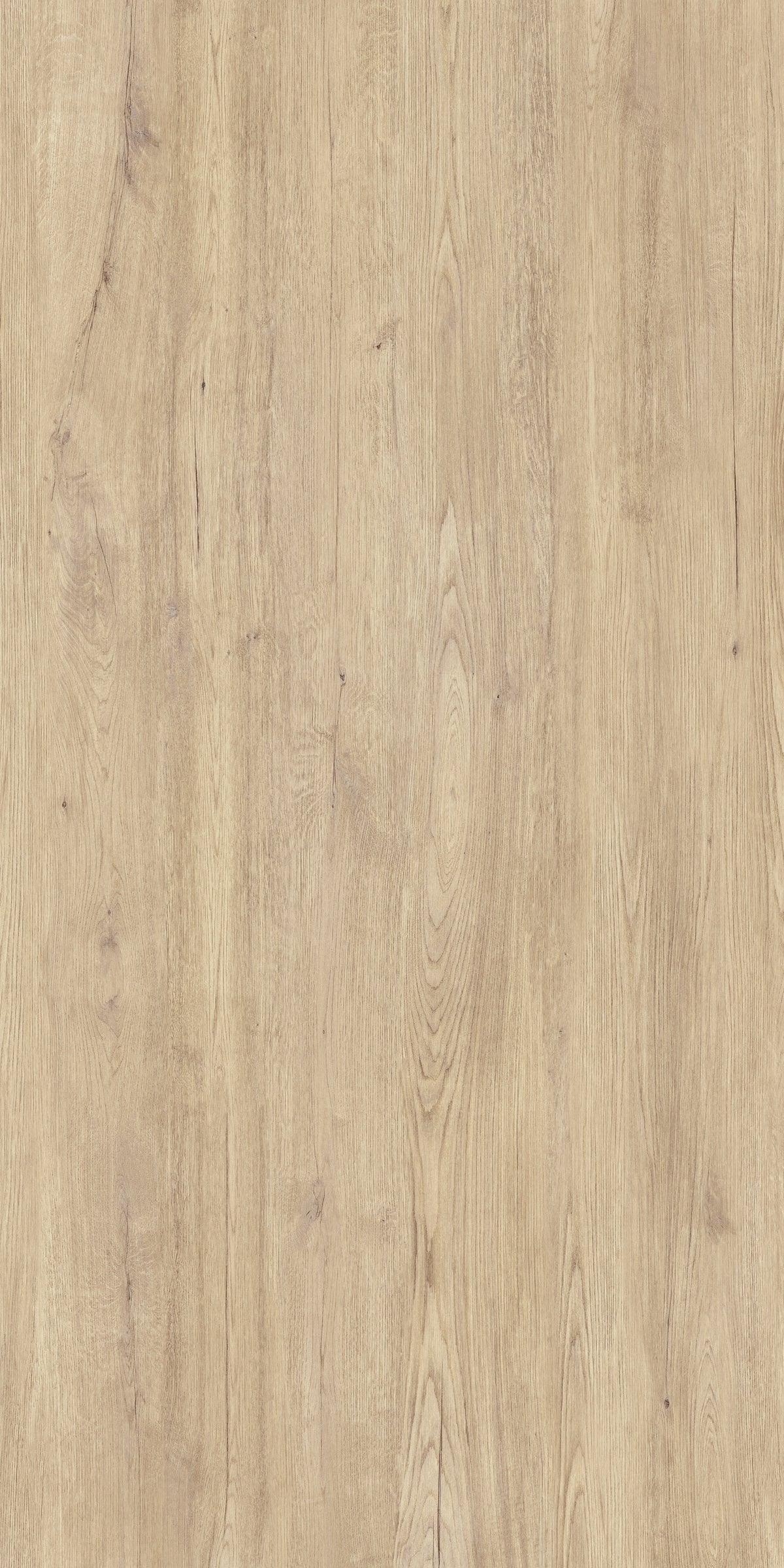Jungla Cipres Porcelain Slab