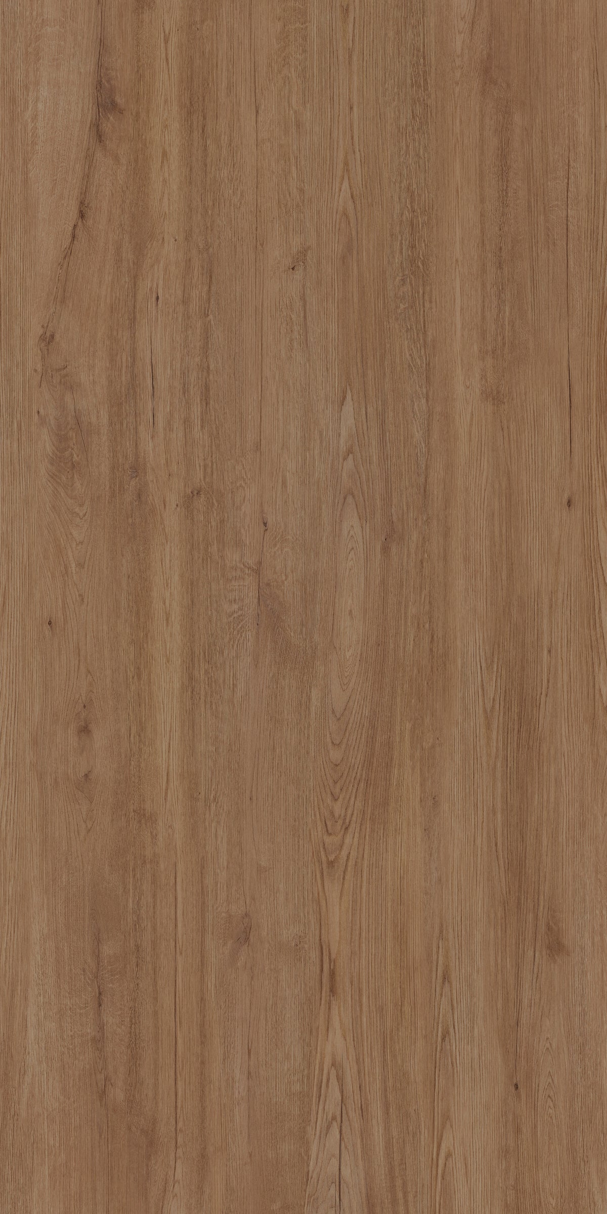Jungla Iroko Porcelain Slab