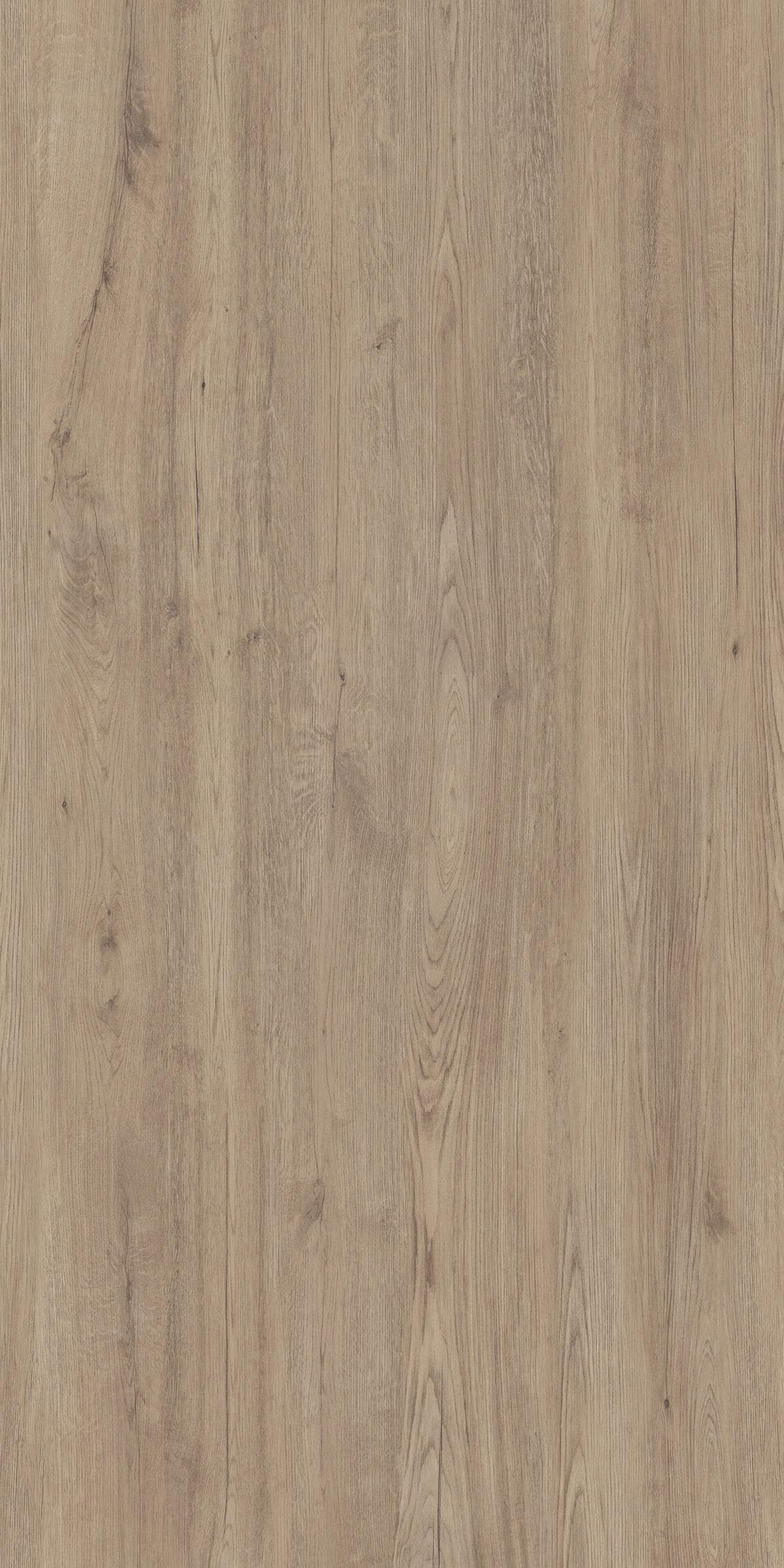 Jungla Roble Porcelain Slab